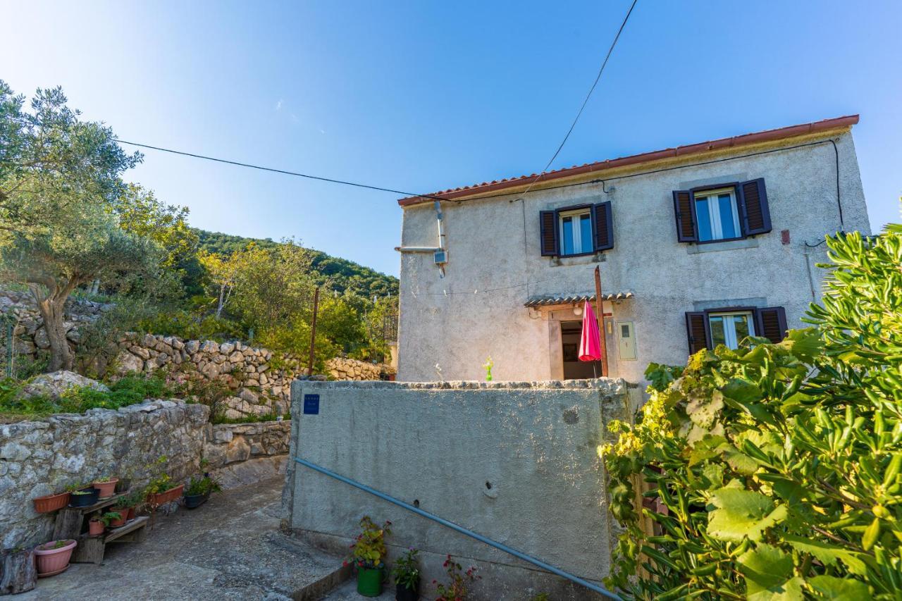Apartmani Valun1 Εξωτερικό φωτογραφία