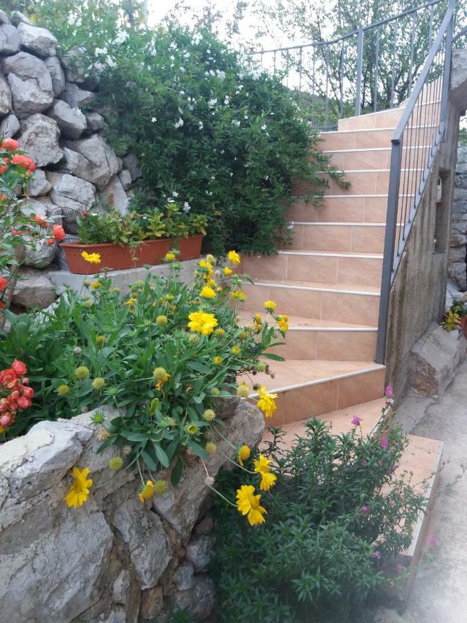 Apartmani Valun1 Εξωτερικό φωτογραφία